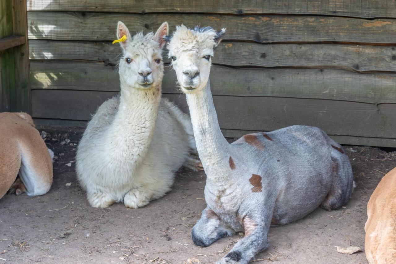 Nutley Farm Vakantiehuis