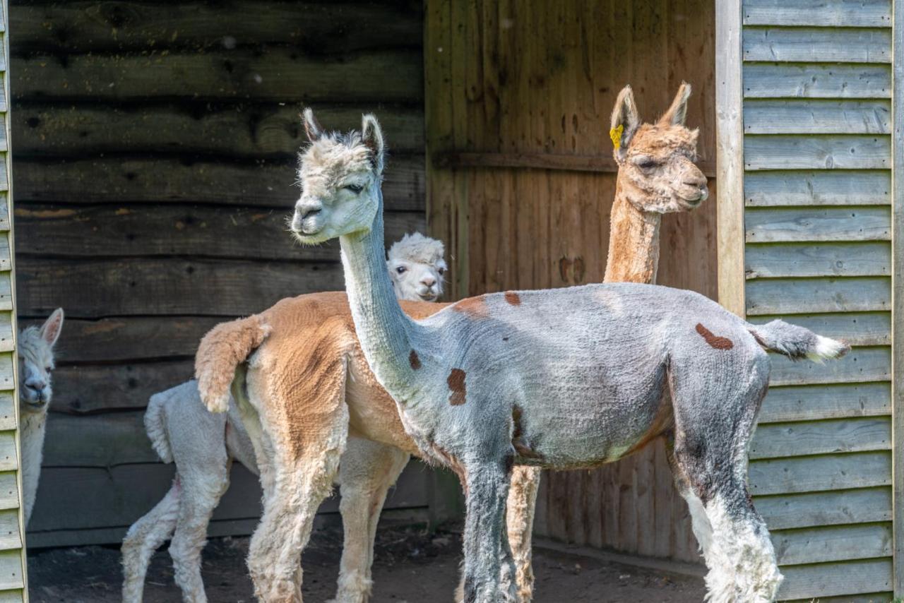 Vakantiehuis Nutley Farm Winfrith Newburgh