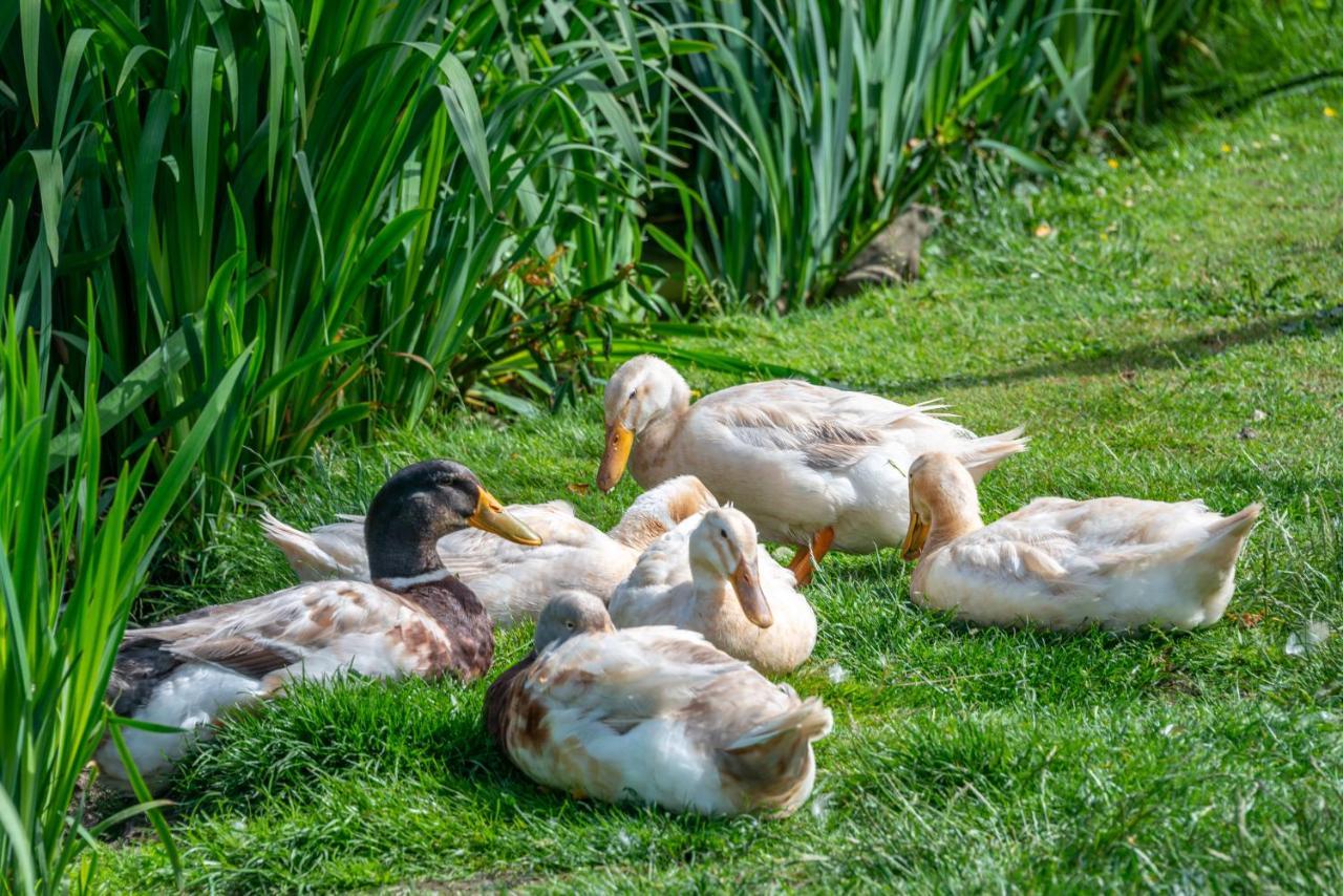 Vakantiehuis Nutley Farm *