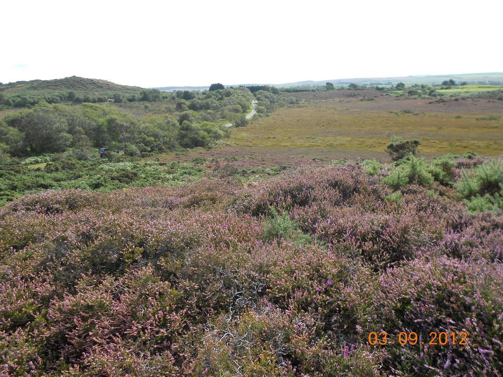 Nutley Farm Vakantiehuis Winfrith Newburgh