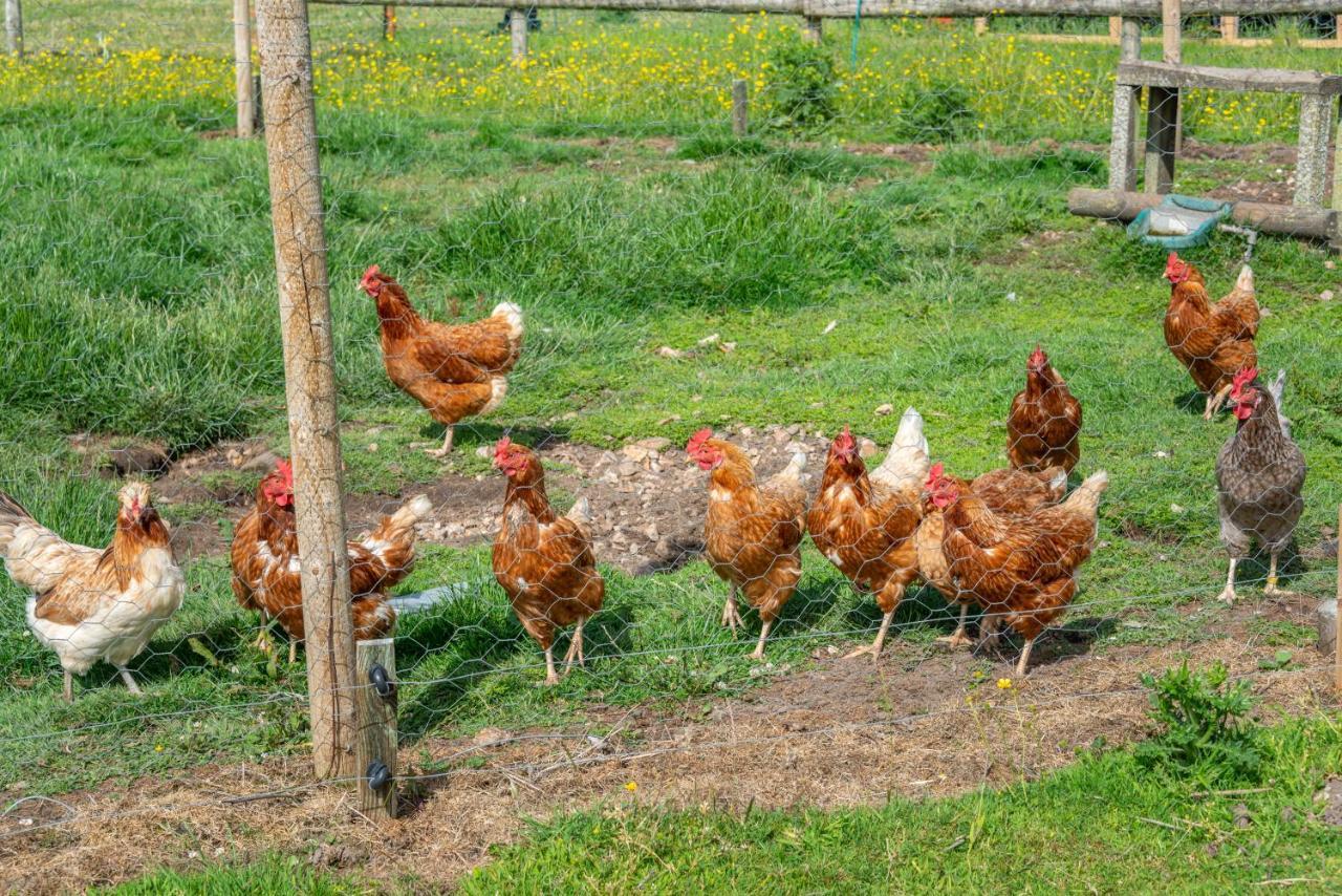 Nutley Farm Сasa de vacaciones Winfrith Newburgh